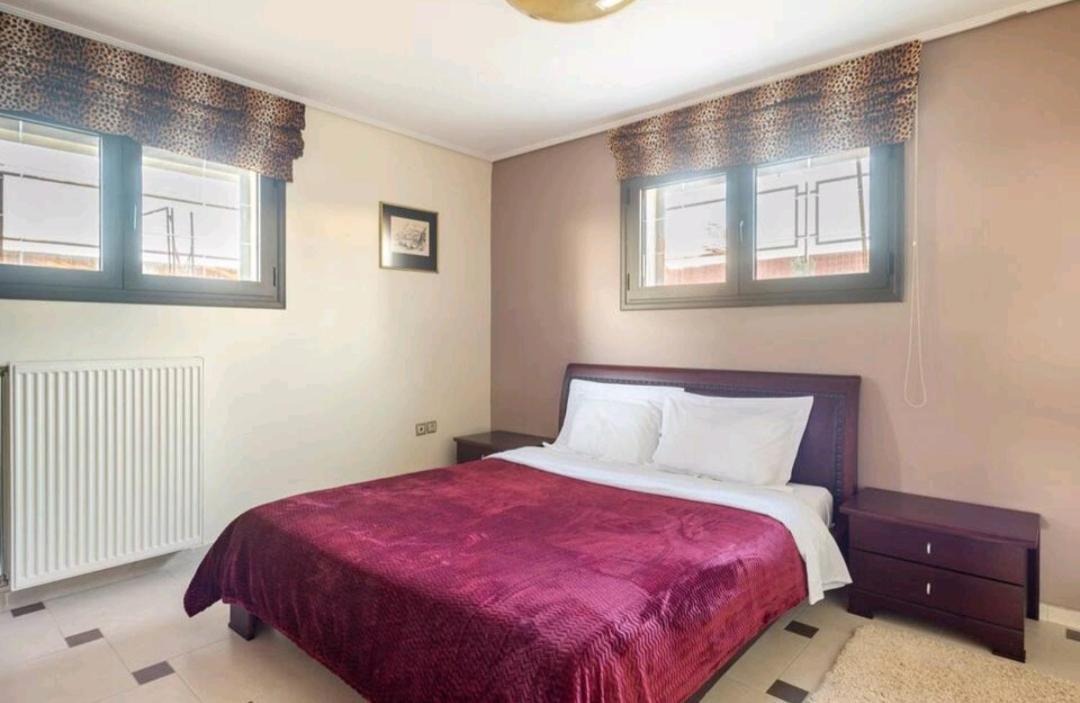 Appartement Ταξιδιώτες Travellers à Mégalopolis Extérieur photo